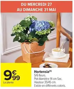 Carrefour Market Hortensia offre