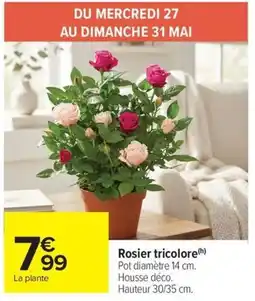 Carrefour Market Rosier tricolore offre