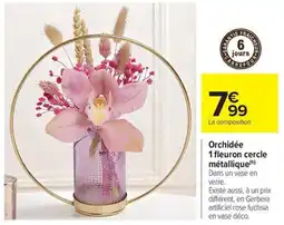 Carrefour Market Orchidée 1 fleuron cercle métallique offre