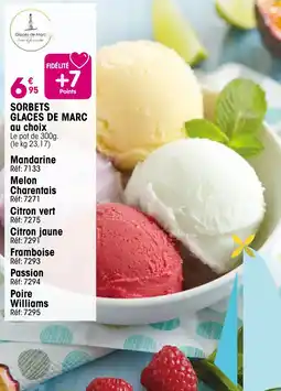 Croque Gel Sorbets glaces de marc au choix offre