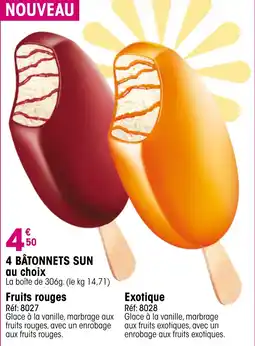 Croque Gel 4 bâtonnets sun au choix offre