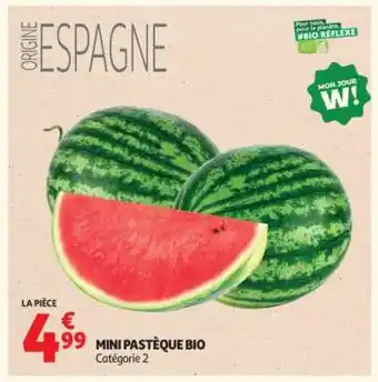 MINI PASTEQUE BIO