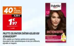 Netto Schwarzkopf Palette coloration châtain acajou 650 offre