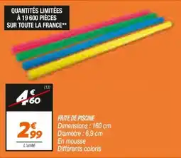 Netto Frite de piscine offre