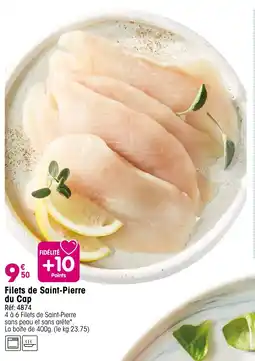 Croque Gel Filets de saint-pierre du cap offre