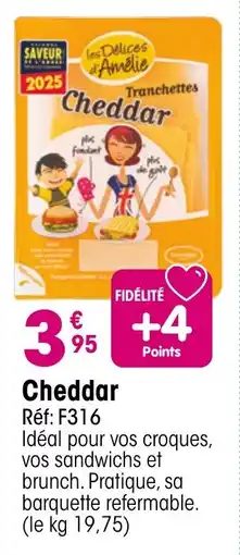 Croque Gel Cheddar offre