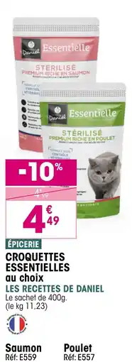 Croque Gel Croquettes essentielles au choix les recettes de daniel offre