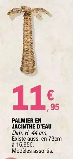 E.Leclerc PALMIER EN JACINTHE D’EAU offre
