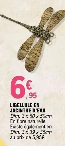 E.Leclerc LIBELLULE EN JACINTHE D’EAU offre