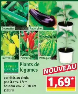 Norma Plants de légumes offre