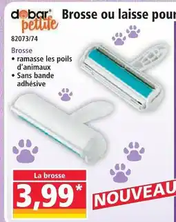 Norma Brosse offre