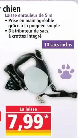 Norma Laisse pour chien offre