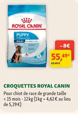 Maxi Zoo Royal canin croquettes offre