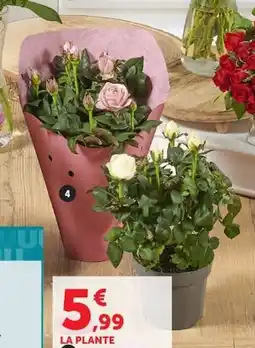 Super U Rosier offre