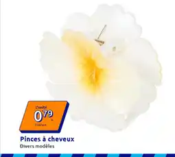 Action Pinces à cheveux offre