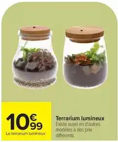 Carrefour Drive Terrarium lumineux offre