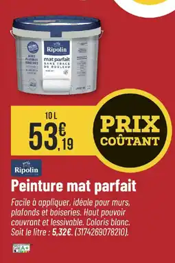 Bricorama RIPOLIN Peinture mat parfait offre