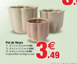 Bazarland Pot de fleurs offre