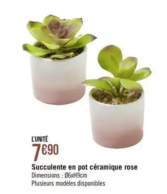 Géant Casino Succulente en pot céramique rose offre