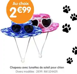 b&m Chapeau avec lunettes de soleil pour chien offre