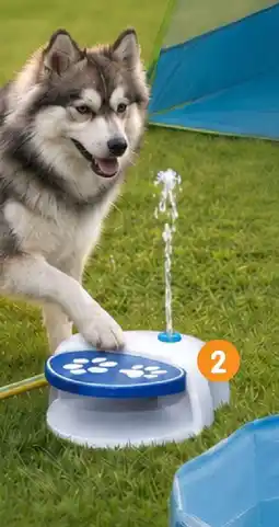 b&m Fontaine rafraichissante pour chien offre