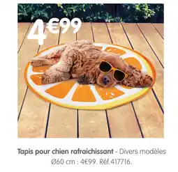 b&m Tapis pour chien rafraichissant offre