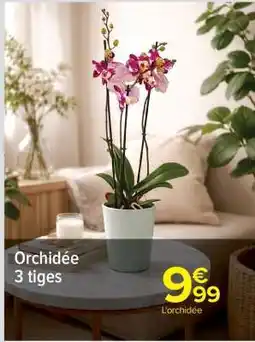 Carrefour Orchidée 3 tiges offre