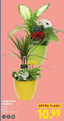 Lidl Composition tendresse offre