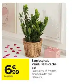 Carrefour Zamioculcas Vendu sans cache pot offre
