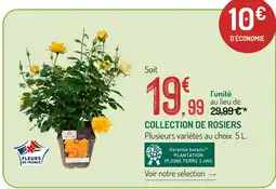 Botanic Collection de rosiers offre