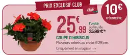 Botanic Le club botanic coupe d'hibiscus offre