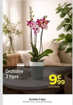 Carrefour Orchidée 3 tiges offre