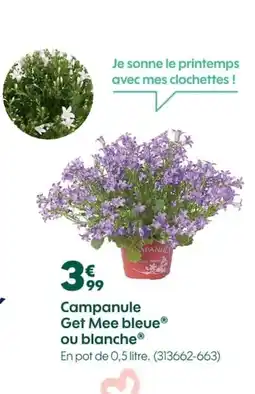 Truffaut Campanule Get Mee bleue ou blanche offre