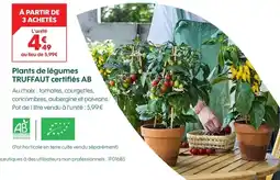 Truffaut Plants de légumes truffaut certifiés ab offre