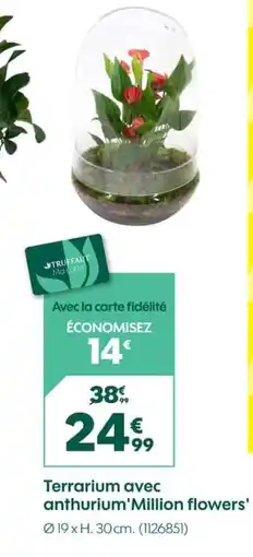 Truffaut Terrarium avec anthuriumMillion flowers offre