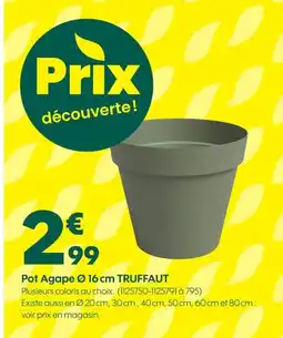 Truffaut Pot agape truffaut offre
