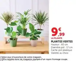 Super U Plantes vertes offre
