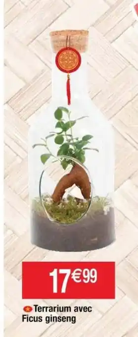 Terrarium Avec