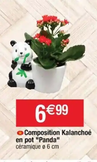 Cora x Carrefour Composition Kalanchoé offre