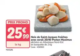 Promocash Noix de Saint-Jacques fraîches avec corail 20/40 Pecten Maximus offre