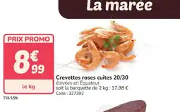 Promocash Crevettes roses cuites 20/30 offre