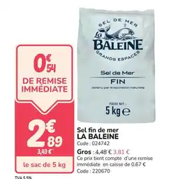 Promocash LA BALEINE Sel fin de mer offre