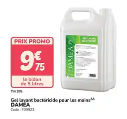 Promocash DAMEA Gel lavant bactéricide pour les mains offre