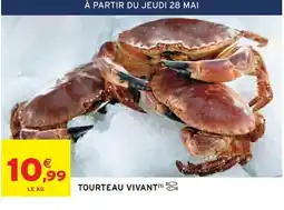 Intermarché Tourteau vivant offre