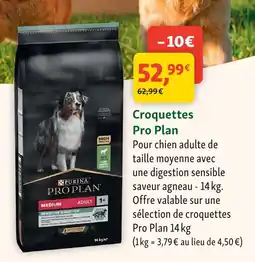 Maxi Zoo Purina croquettes offre