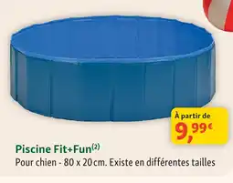 Maxi Zoo Fit+fun piscine pour chien offre