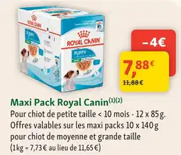 Maxi Zoo Royal canin maxi pack offre