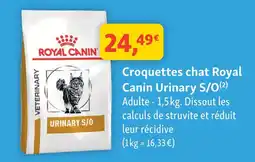 Maxi Zoo Royal canin croquettes chat urinary s/o offre