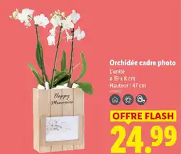 Lidl Orchidée cadre photo offre