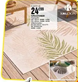 La Foir'Fouille Tapis exterieur offre